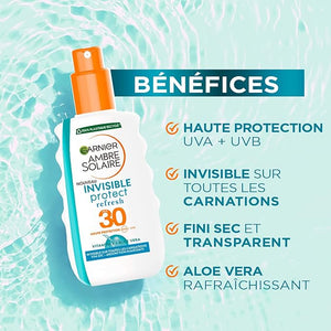 Garnier - Hydration Protection Lotion (Original) - Zambeel