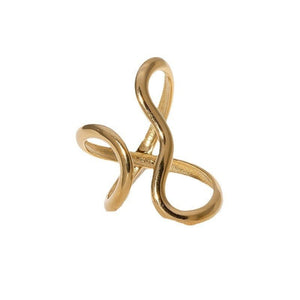 Glossy Special - shaped Line Design Sense Index Finger Ring Exaggerated Personalized Simple - Zambeel