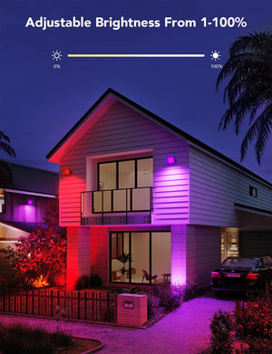 Govee - Flood LED Light © - Zambeel