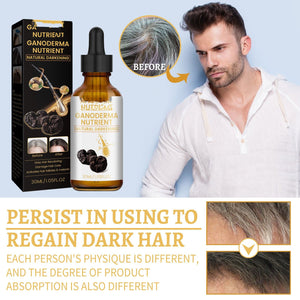 Hair Care Moisturizing Hair Repair Massage - Zambeel