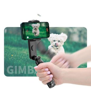 Hand - held Tripod Head Stabilizer Selfie Stick Anti - shake - Zambeel