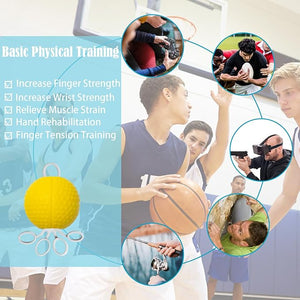 Hand Therapy Ball - Zambeel
