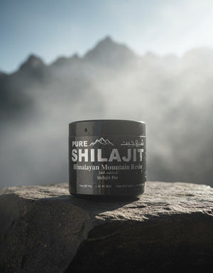 Hemani - Pure Shilajit (Original) - Zambeel