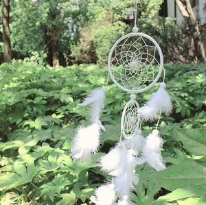 Home Decorations Wedding Decoration Feathers - Zambeel