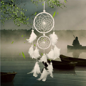 Home Decorations Wedding Decoration Feathers - Zambeel