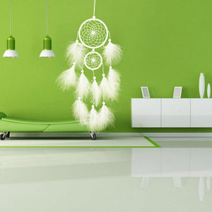 Home Decorations Wedding Decoration Feathers - Zambeel