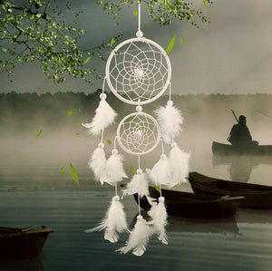 Home Decorations Wedding Decoration Feathers - Zambeel