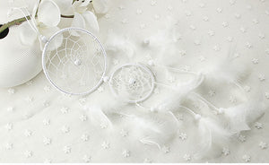 Home Decorations Wedding Decoration Feathers - Zambeel