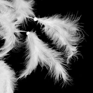Home Decorations Wedding Decoration Feathers - Zambeel