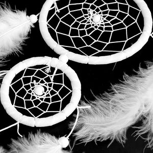 Home Decorations Wedding Decoration Feathers - Zambeel