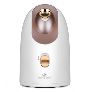 Hot and cold face steamer - Zambeel