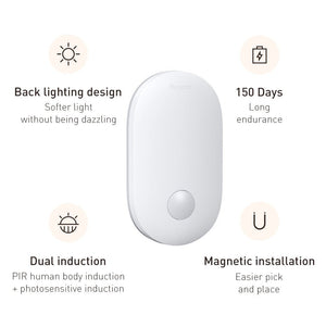 Human Induction Home Light - Zambeel