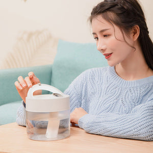 Humidifier Dimming Mute Humidifier - Zambeel