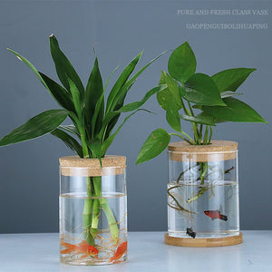Indoor Green Plant Decoration Glass Bottle For Hydroponic Plants - Zambeel