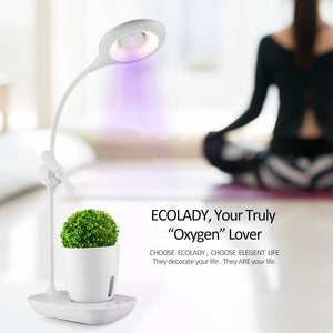 Intelligent Plant Growth Box with Table Lamp - Zambeel