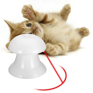 Interactive LaserToy - Zambeel