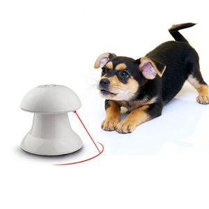 Interactive LaserToy - Zambeel