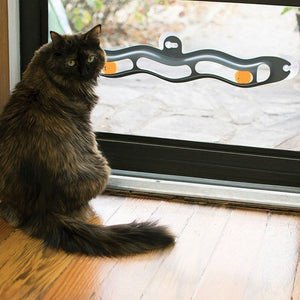 Interactive Track Ball Window Suction Cup Toy Catnip Balls Massage Plastic Sucker Funny Cat Game Intelligence Toy - Zambeel