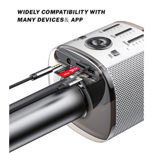 Karaoke Microphone With Speaker - Zambeel