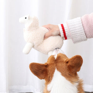 Lambs Train To Play And Sniff Tibetan Food Pet Toys - Zambeel