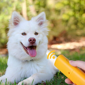 LED Dog Repeller Trainer - Zambeel