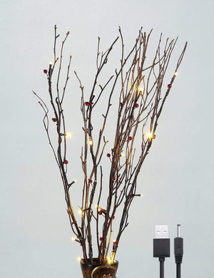 Led Strings Of Decorative Lights Illuminate The Night - Zambeel