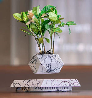 Levitating - Magnetic Floating Marble Pot © - Zambeel