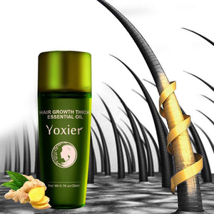 LUMINA OIL - Zambeel