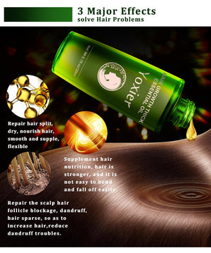 LUMINA OIL - Zambeel