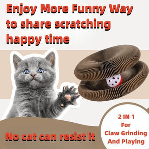 Magic Organ Foldable Cat Scratch Board Toy With Bell Cat Grinding Claw Cat Climbing Frame Round Corrugated Cats Interactive Toys - Zambeel