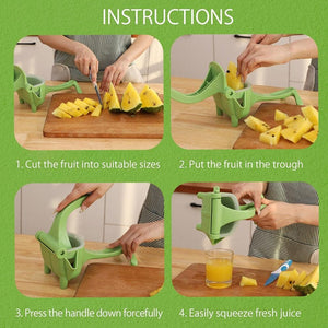 Manual Fruit Press - Zambeel