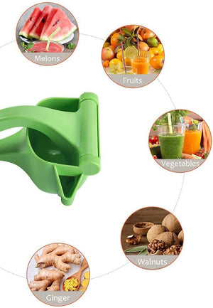 Manual Fruit Press - Zambeel