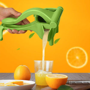 Manual Fruit Press - Zambeel