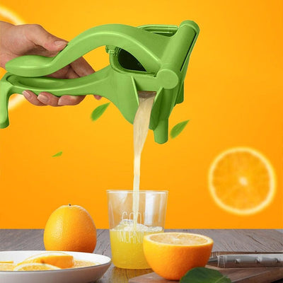 Manual Fruit Press - Zambeel
