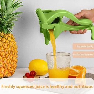 Manual Fruit Press - Zambeel