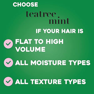 Mint Shampoo - 385 ml - Zambeel