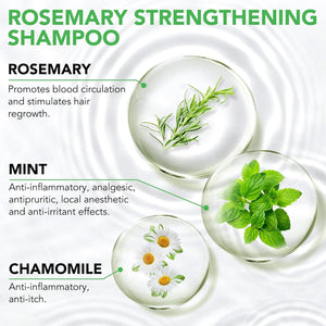 Mint Strengthening Shampoo (100ml) - Zambeel
