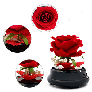 Mother Day Gift Dried Flowers Eternal Real Rose Home Decor - Zambeel