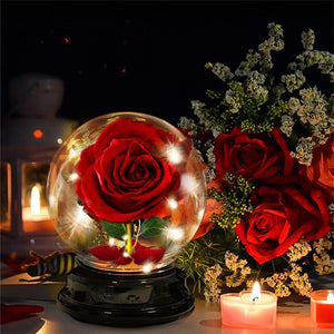 Mother Day Gift Dried Flowers Eternal Real Rose Home Decor - Zambeel