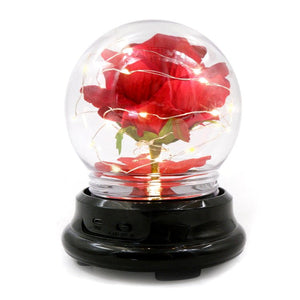 Mother Day Gift Dried Flowers Eternal Real Rose Home Decor - Zambeel