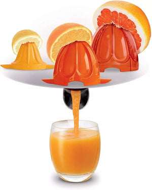 Moulinex - Citrus Juicer© - Zambeel