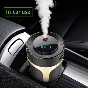 Multifunctional Air Purifier - Zambeel