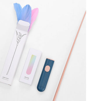 New Pet Cat Toy Products Feather Teasing Stick - Zambeel