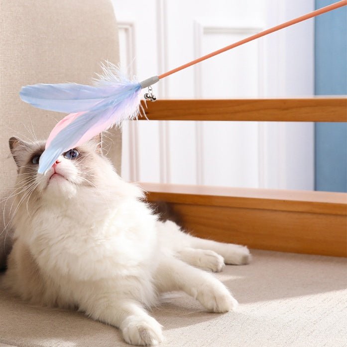 New Pet Cat Toy Products Feather Teasing Stick - Zambeel