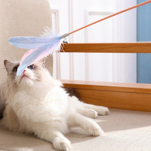 New Pet Cat Toy Products Feather Teasing Stick - Zambeel