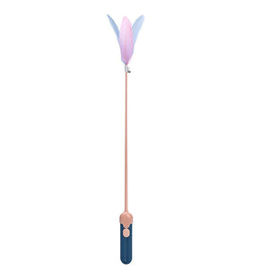 New Pet Cat Toy Products Feather Teasing Stick - Zambeel