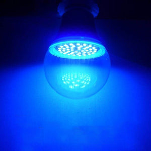 New Upgraded Indoor and Outdoor Insecticidal Lamp - Zambeel