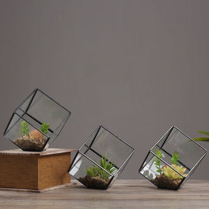 Oblique Square Small Glass Greenhouse Transparent Plant Flowerpot - Zambeel