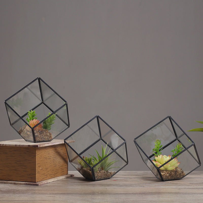 Oblique Square Small Glass Greenhouse Transparent Plant Flowerpot - Zambeel