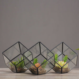 Oblique Square Small Glass Greenhouse Transparent Plant Flowerpot - Zambeel